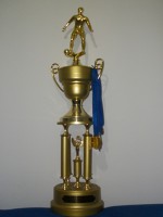 /album/galeria-de-trofeus-do-aroeira-f-c-/a1%c2%ba%20campeonato%20aroeira%20ii-03-02-2008-jpg/